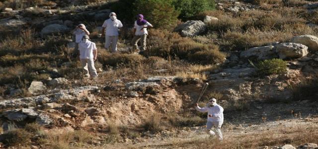 Zionist settlers attack farmers during olive harvesting