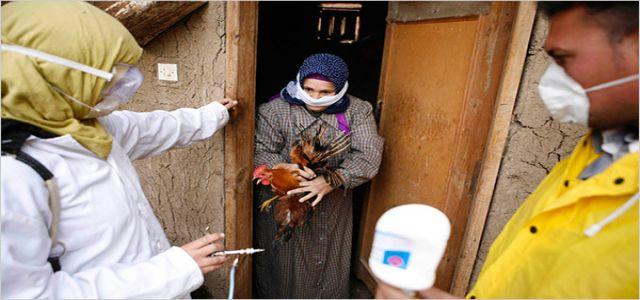 Egypt reports one Bird flu death