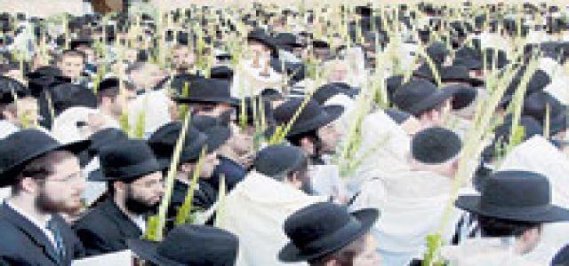 Jewish settlers launch arson attack on Palestinian cultivated lands