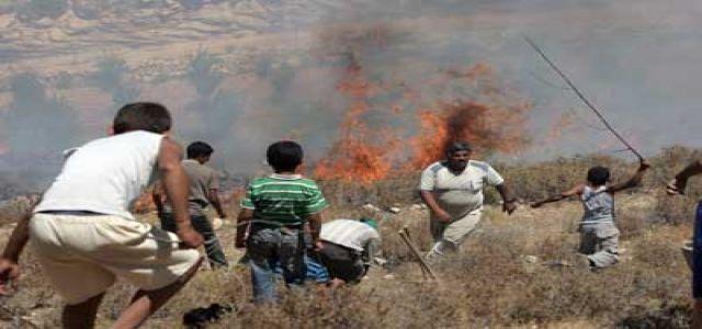Israeli settlers burn agricultural crops in Jalud village