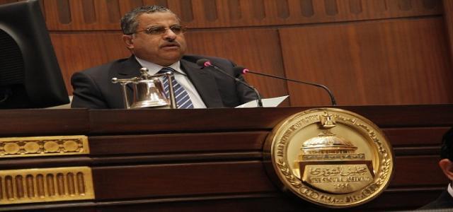 Fahmi to U.S. Lawmakers: Principles of Constitution Agreed, Respect Will of Egyptian People