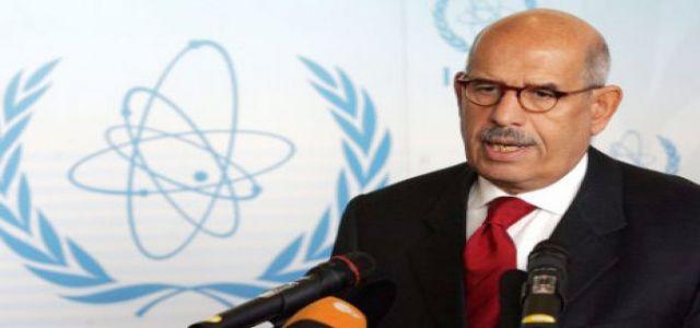 ElBaradei: Political amendments are high on my priority list