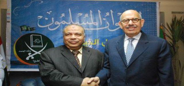 Muslim Brotherhood supports ElBaradei