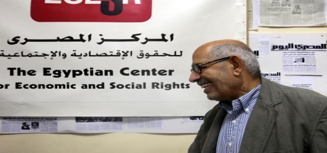 Egypt: ElBaradei Works to Motivate Diaspora