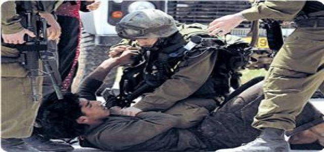 Mizan center: IOF killed 8 Palestinians, wounded 5 in January