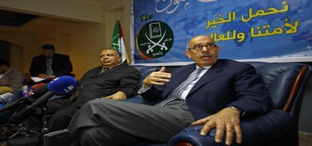 ElBaradei: Differences with MB don’t preclude sharing goals