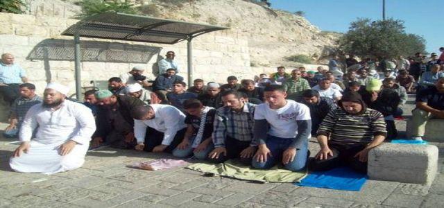 Palestinians abort Jewish attempt to slaughter sacrifices in Aqsa