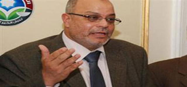 Hussein Ibrahim: Freedom and Justice Party Will Cooperate with All for Egypt Security, Stability