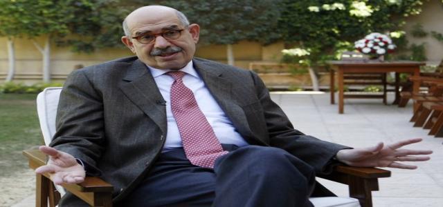 ElBaradei: Egypt’s democracy needs less talk more action