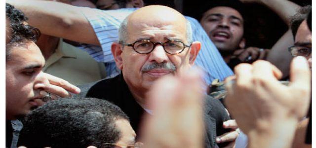 Mohamed ElBaradei joins Egyptian sit-in over police death case