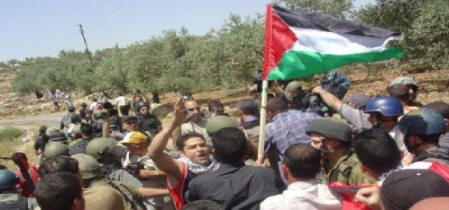 Three foreigners hurt in IOF quelling of anti-wall march